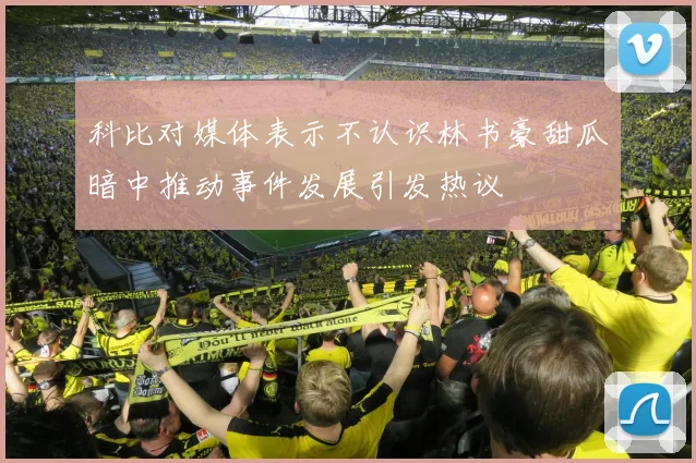 科比对媒体表示不认识林书豪甜瓜暗中推动事件发展引发热议